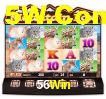 56Win Plataforma